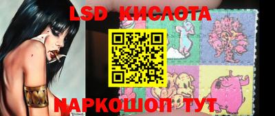 a pvp Камышлов