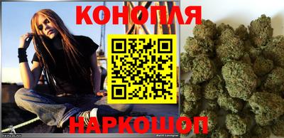 a pvp Камышлов