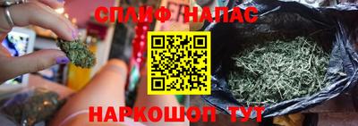 a pvp Камышлов