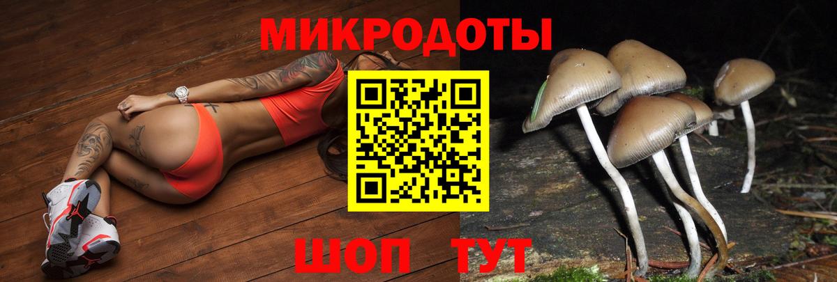 где найти   Псилоцибиновые грибы MAGIC MUSHROOMS  Кропоткин  Вход с VPN  Псилоцибиновые грибы мухоморы 